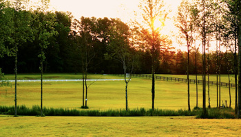 Reflections Farm, Vass, NC, Kriestin Kleinschmidt, Owner