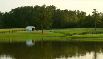 Reflections Farm, Vass, NC, Kriestin Kleinschmidt, Owner