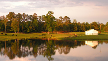 Reflections Farm, Vass, NC, Kriestin Kleinschmidt, Owner
