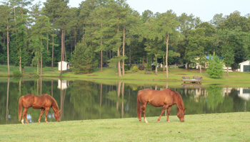 Reflections Farm, Vass, NC, Kriestin Kleinschmidt, Owner